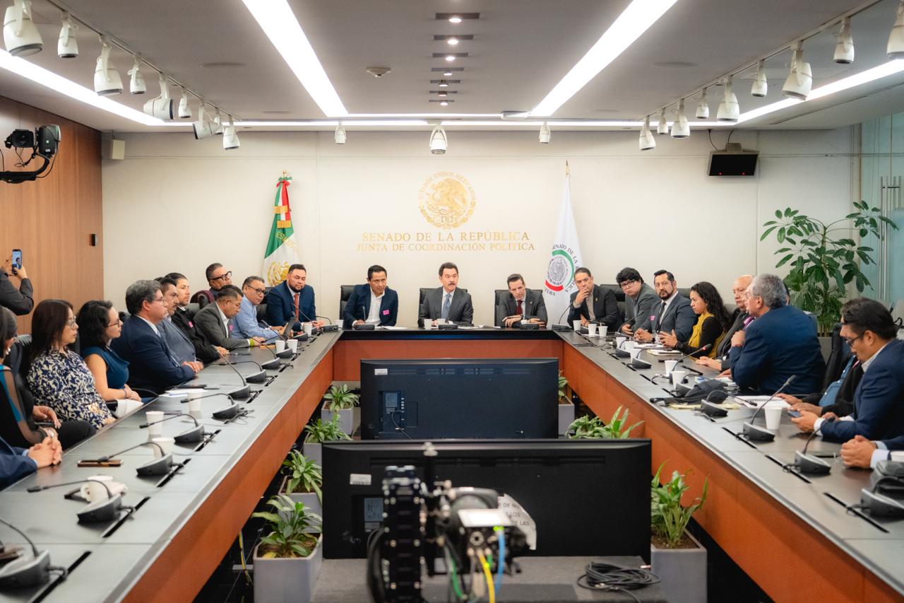 Partidos locales del país alzan la voz en el Senado; exigen representatividad real